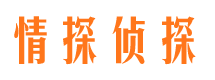 武功市调查公司